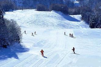 韩国导游 韩国滑雪