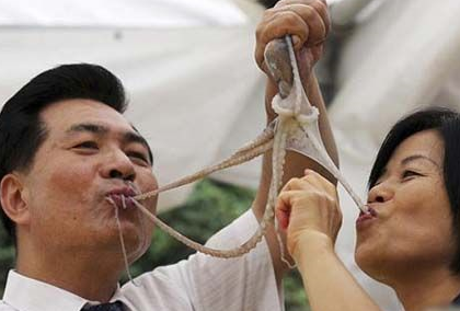 韩国自由行吃活章鱼