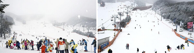 韩国阳智松林滑雪场