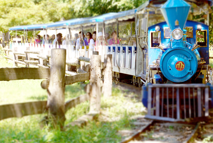 （照片） 在南怡岛运行的“联合国儿童基金会分享列车”