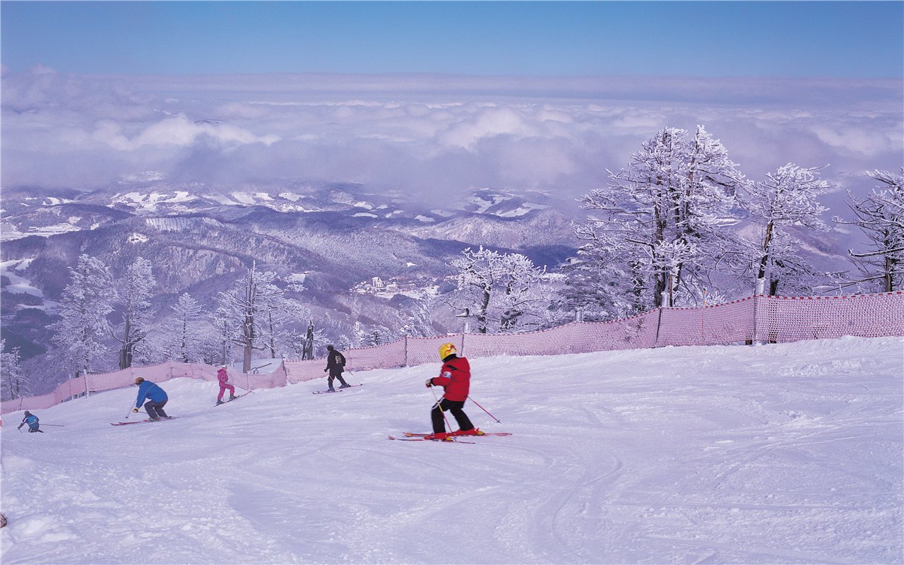 韩国  滑雪