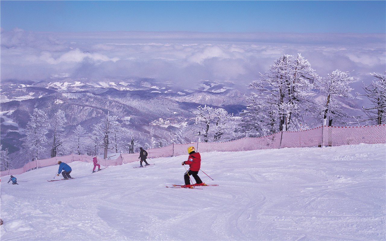  江原道龙平滑雪场
