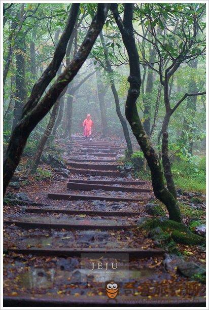 城板岳登山路