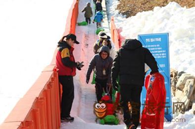 冬季  韩国 芝士   滑雪场