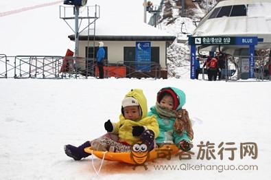 冬季  韩国 芝士   滑雪场