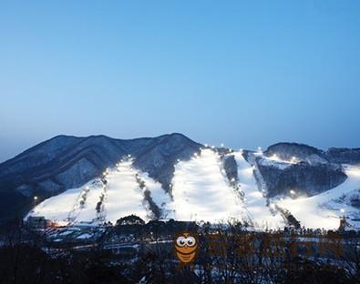 冬季  韩国 芝士   滑雪场