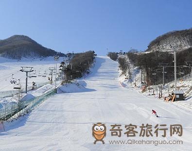 冬季  韩国 芝士   滑雪场