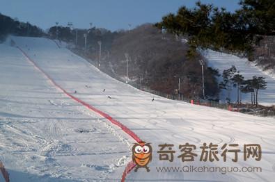 冬季  韩国 芝士   滑雪场