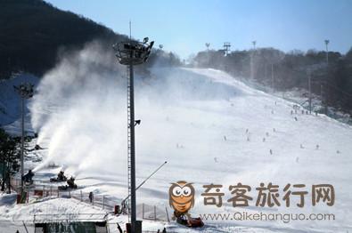 冬季  韩国 芝士   滑雪场