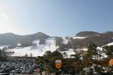 冬季  韩国 芝士   滑雪场