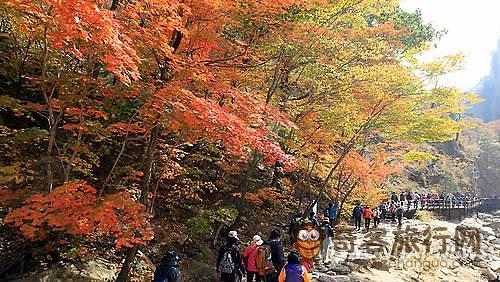 雪岳山内一景