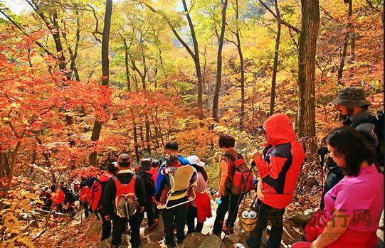 登山爱好者云集俗离山