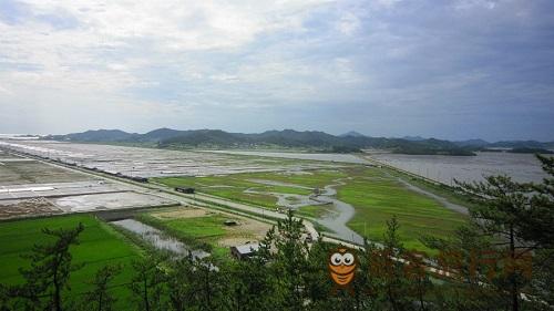 韩国曾岛 ——用盐完成的一座“慢城” 