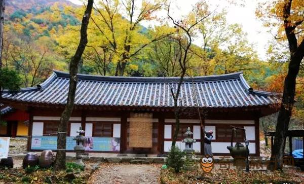 狭川郡-海印寺