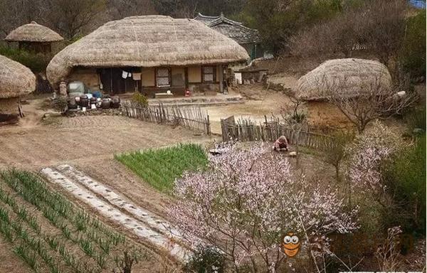 良洞-韩屋村