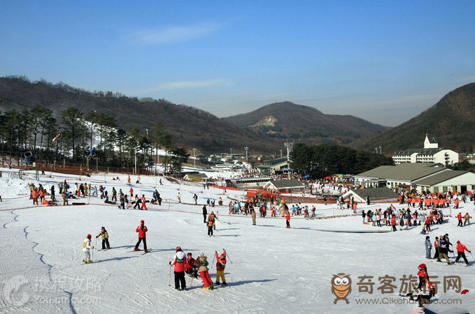 芝山森林滑雪度假村