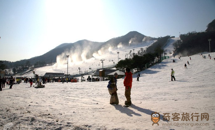 芝山森林滑雪度假村