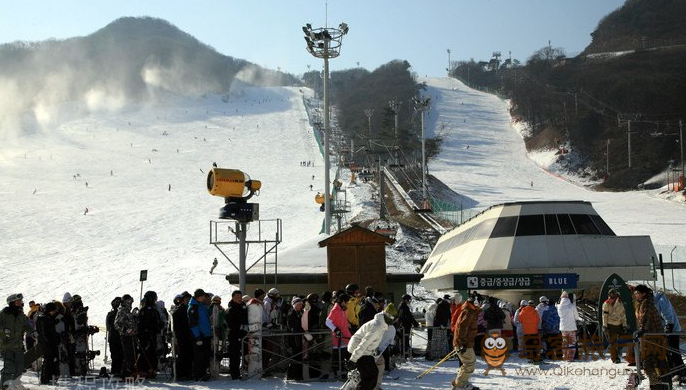 芝山森林滑雪度假村