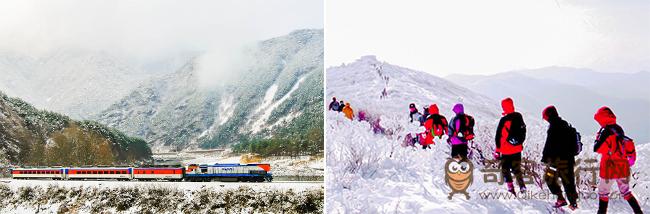 同时享受冬季庆典和雪景的“雪花列车”旅行