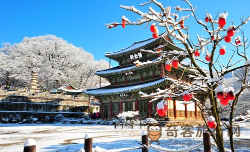 金堤市金山寺