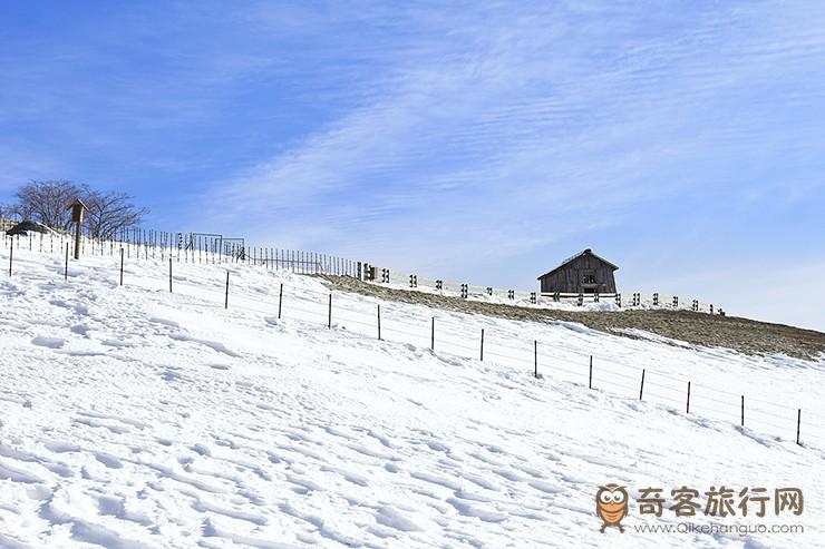 大关岭羊群牧场 대관령 양떼목장