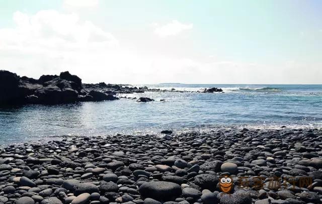 牛沼河口海滩海景