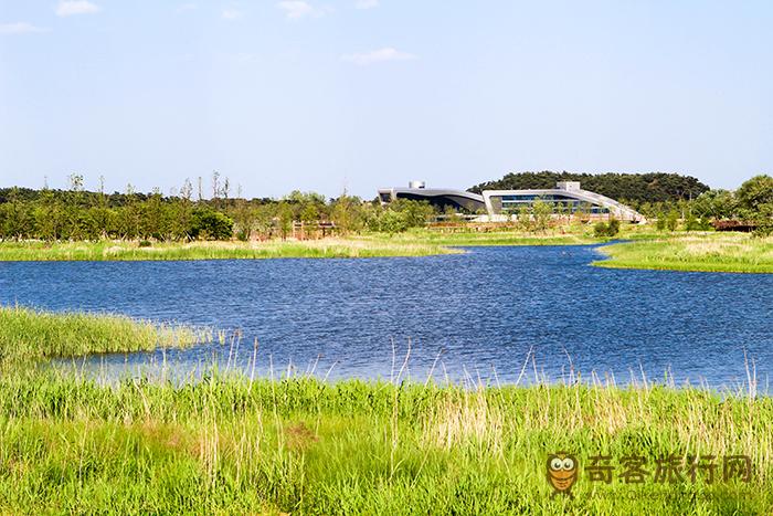 镜浦芡实湿地