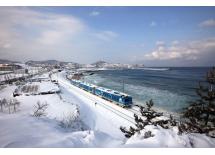 KTX-一日游韩国海岸列车	
