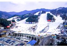 Viva Ski Festiva 滑雪世界